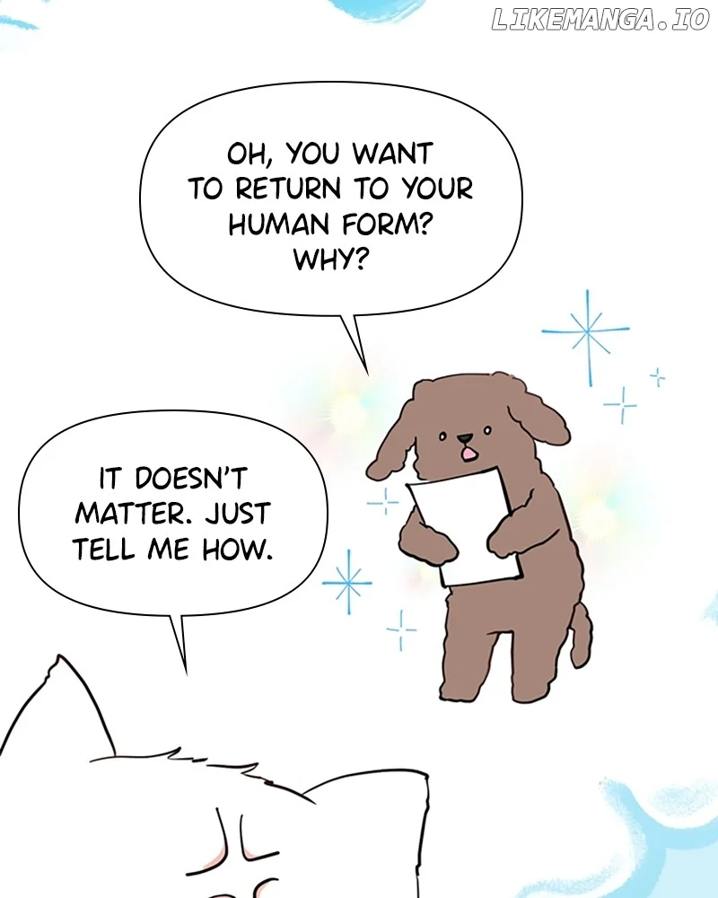 How to Hold X’s Leash chapter 3 page 20