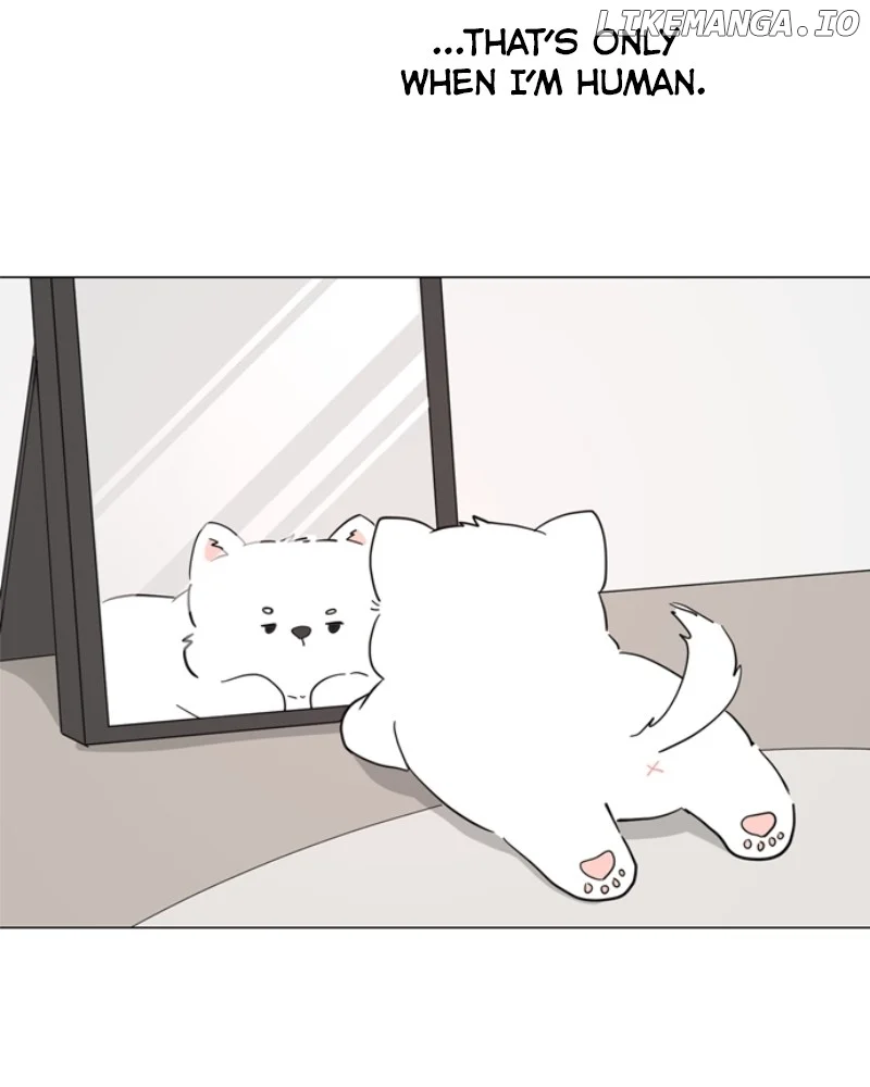 How to Hold X’s Leash chapter 43 page 54