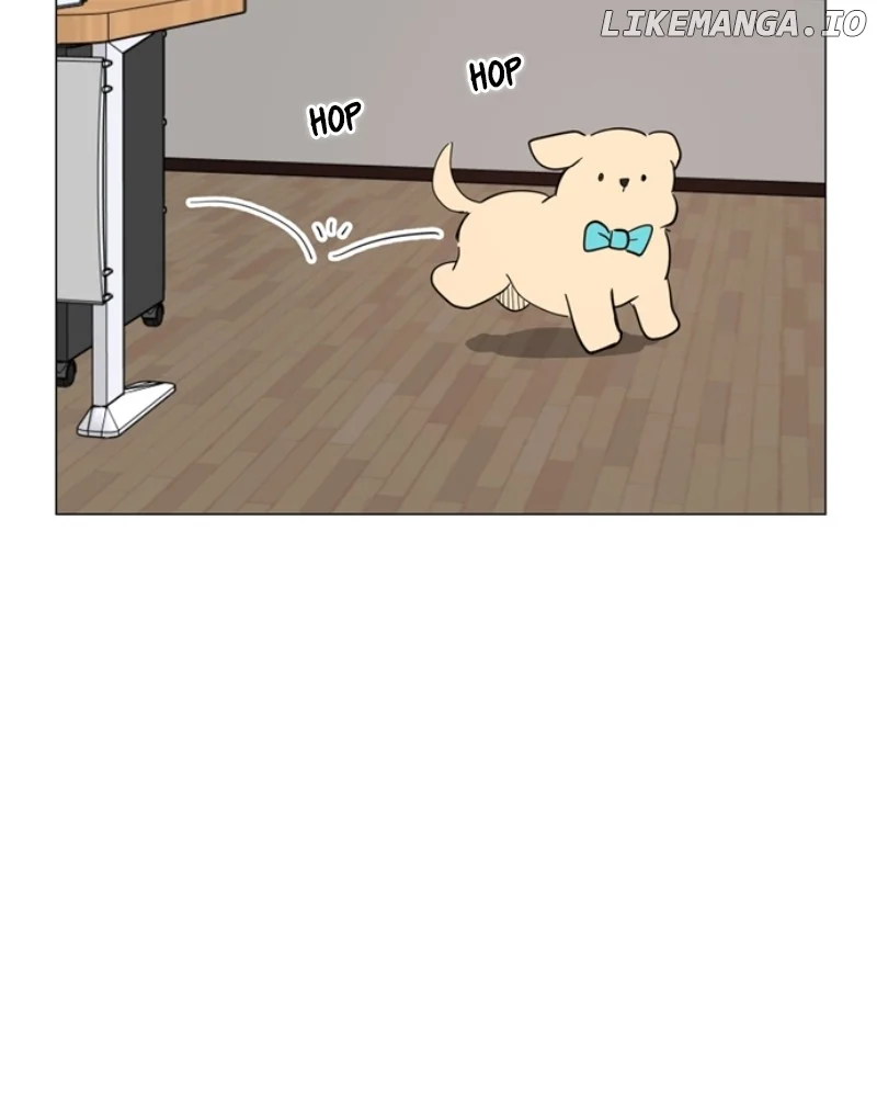 How to Hold X’s Leash chapter 43 page 73
