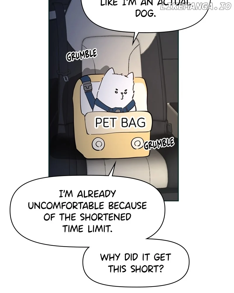 How to Hold X’s Leash chapter 8 page 41