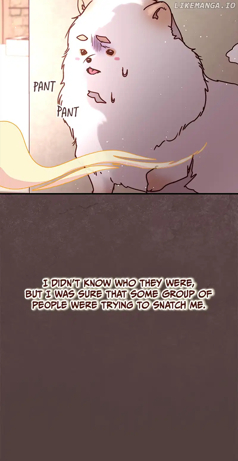 Please, Forget About Vivian chapter 38 page 14