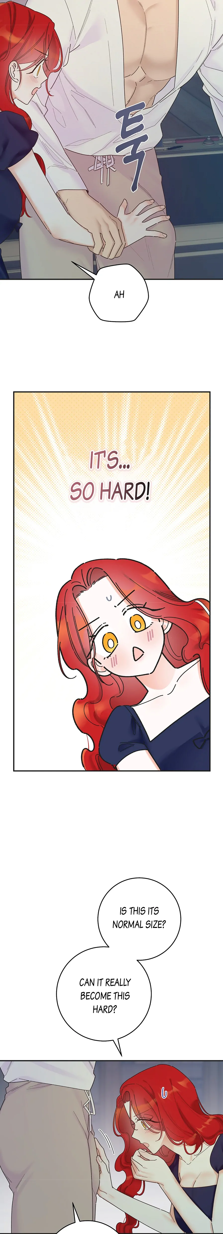 The Lady’s Erotic Hobbies chapter 6 page 21