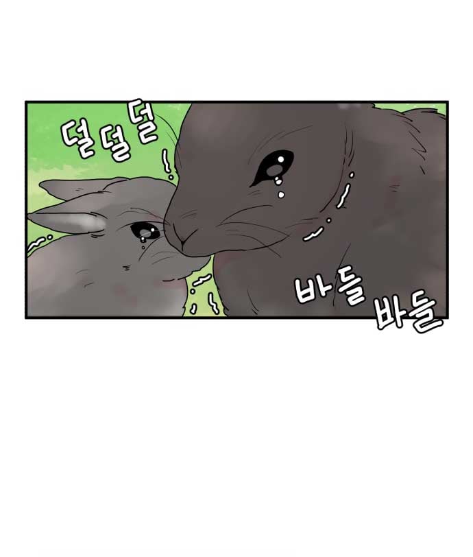 Fox Love Story chapter 1 page 40