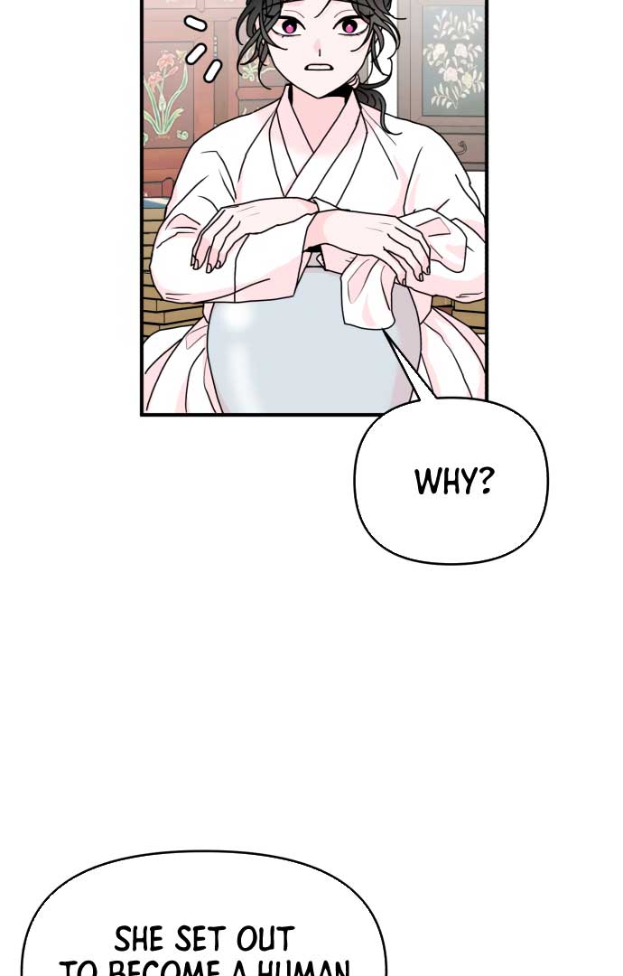 Fox Love Story chapter 2 page 43
