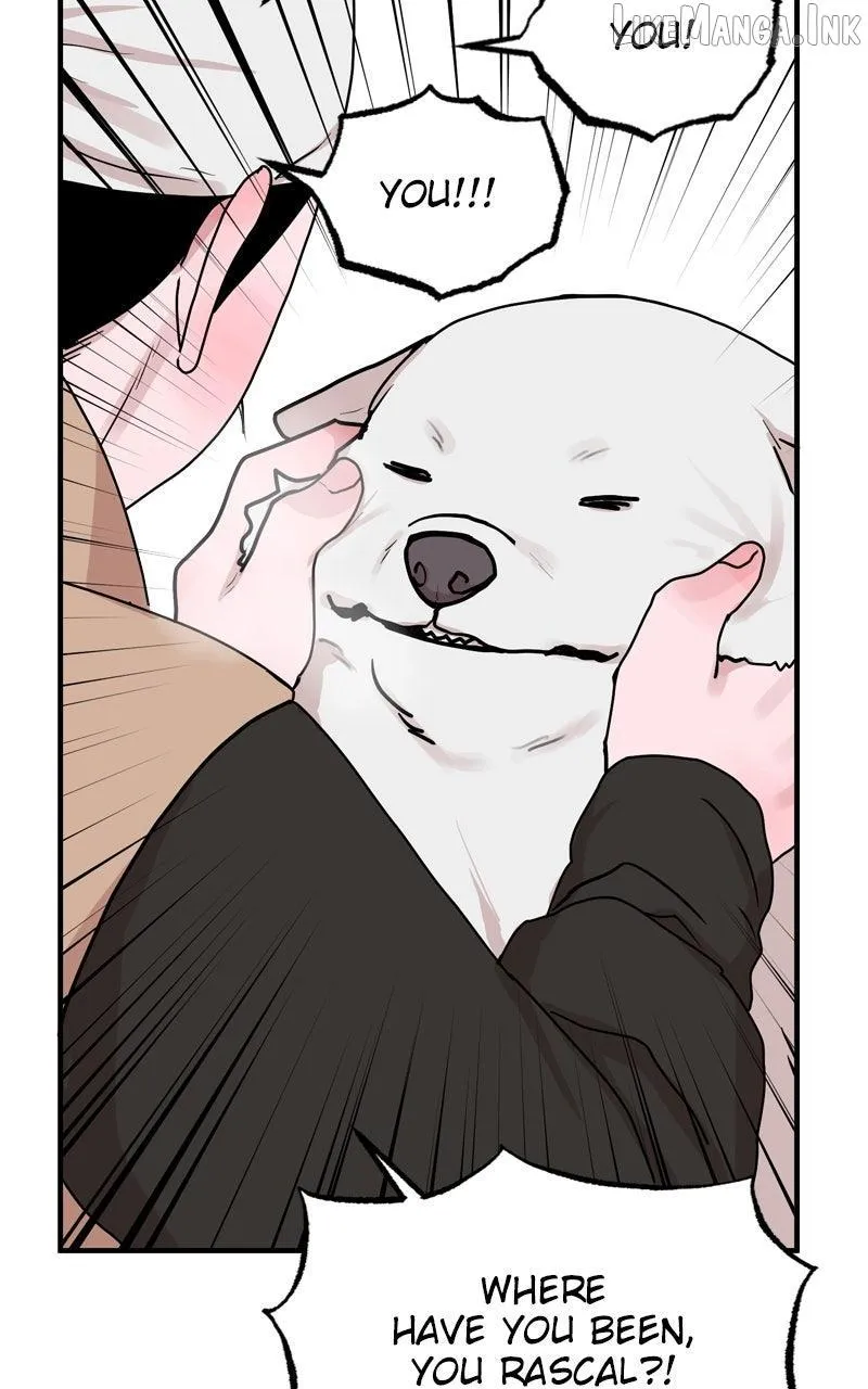 Fox Love Story chapter 50 page 60