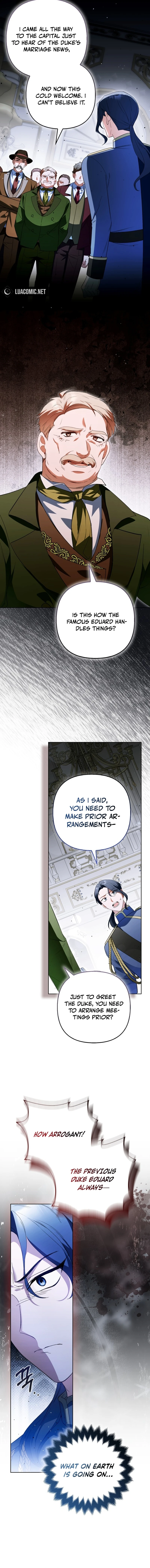 How to Perfectly End a Contract Marriage chapter 23 page 11