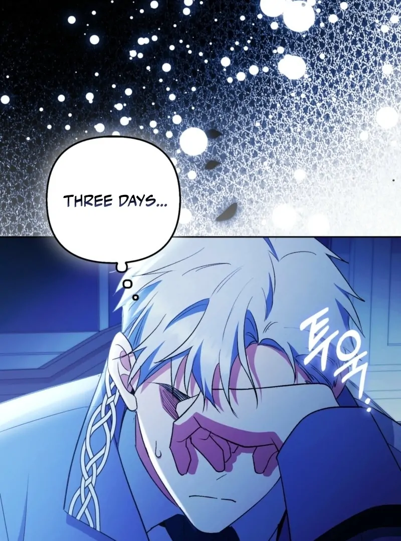 How to Perfectly End a Contract Marriage chapter 47 page 11