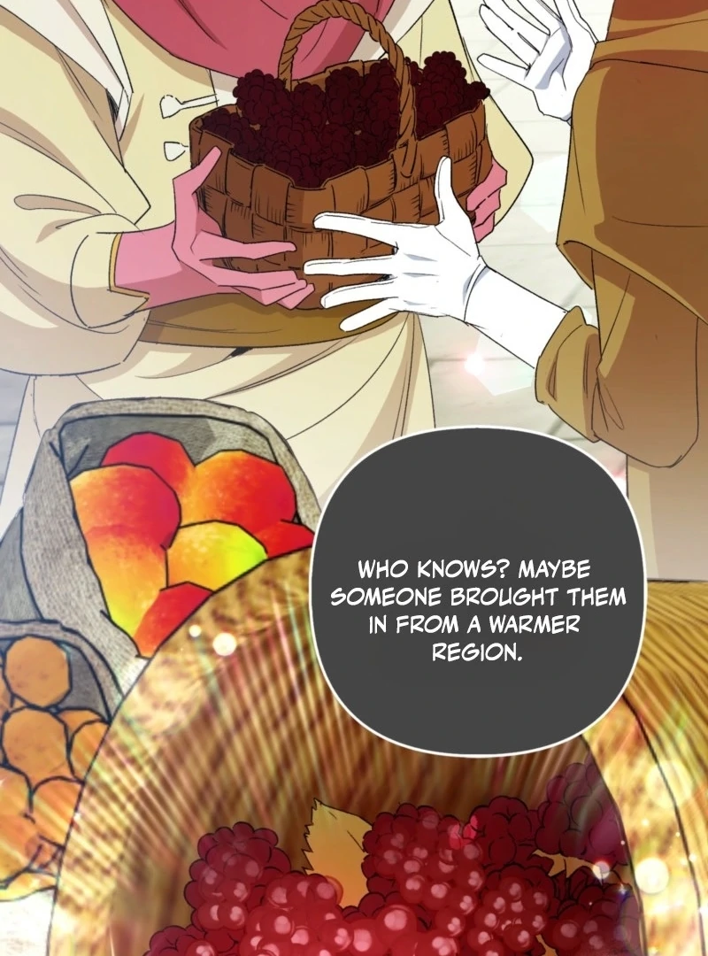 How to Perfectly End a Contract Marriage chapter 47 page 42