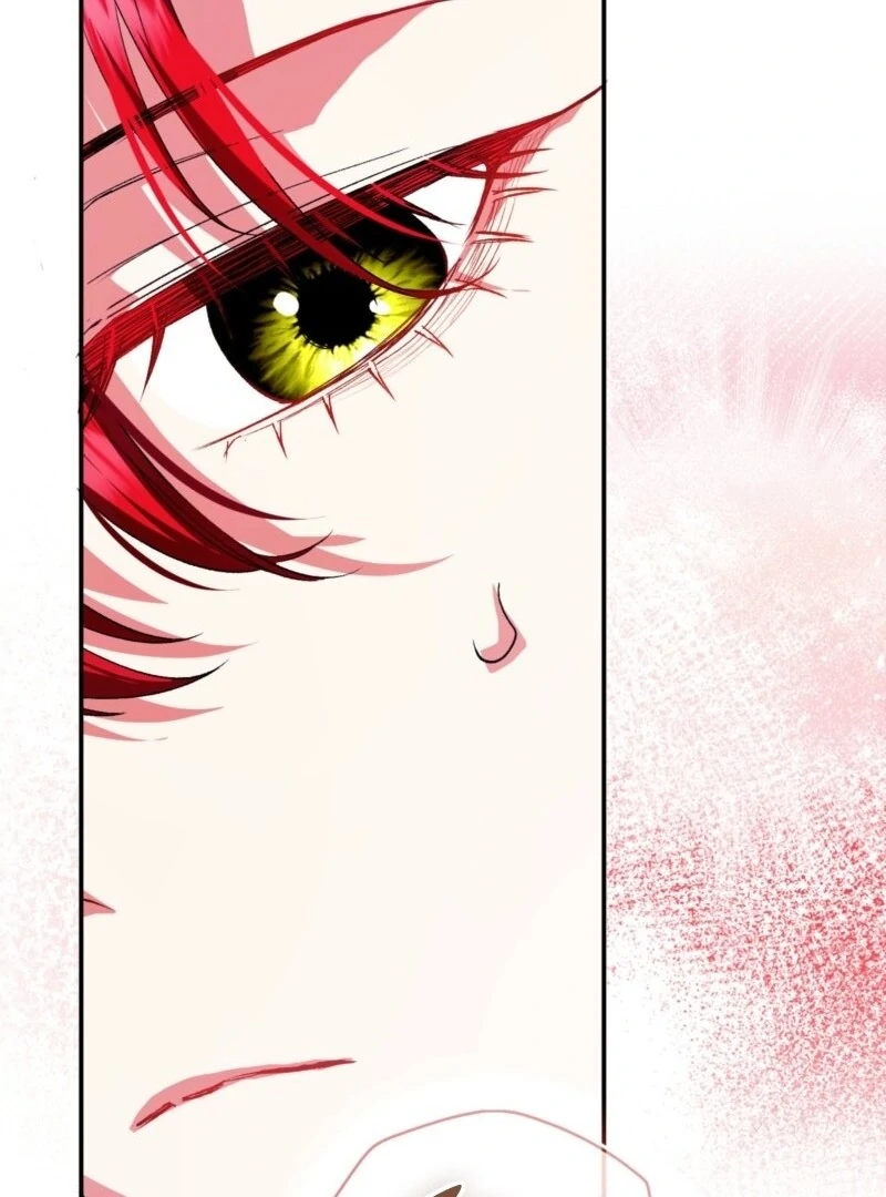 How to Perfectly End a Contract Marriage chapter 62 page 101