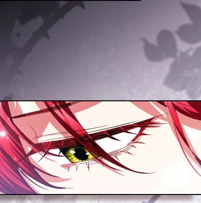 How to Perfectly End a Contract Marriage chapter 62 page 116