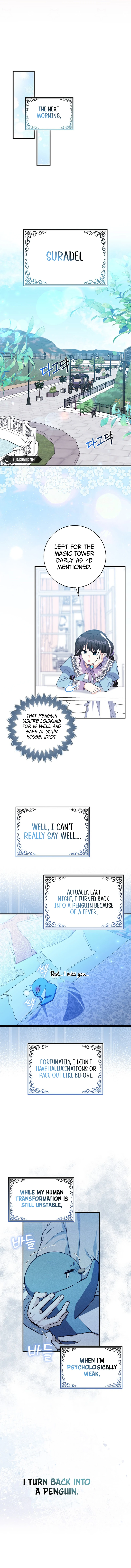 The Crazy Killer Whale’s Favourite Penguin chapter 13 page 11