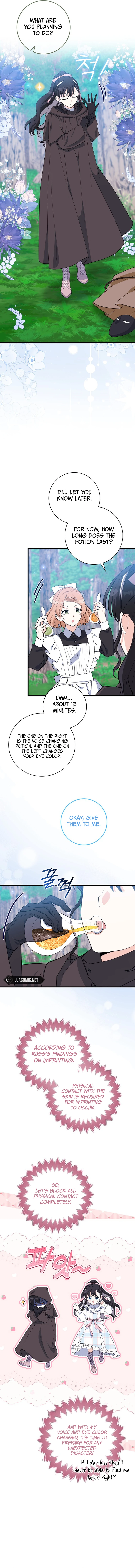 The Crazy Killer Whale’s Favourite Penguin chapter 15 page 8