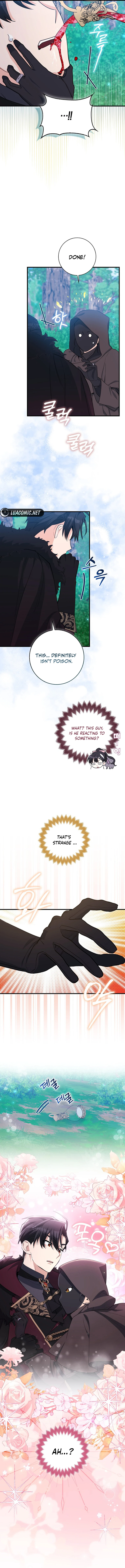 The Crazy Killer Whale’s Favourite Penguin chapter 16 page 11