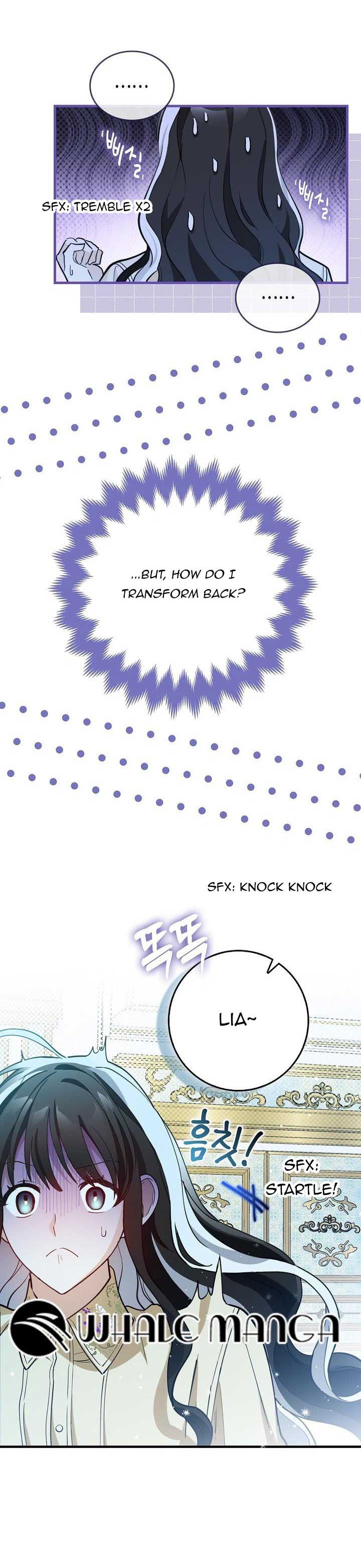 The Crazy Killer Whale’s Favourite Penguin chapter 2 page 14