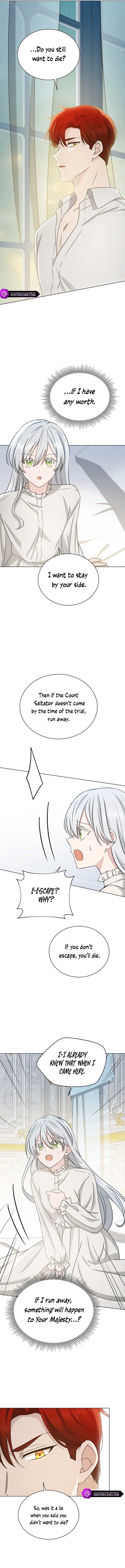 A Mouse Biting a Dragon’s Tail chapter 13 page 11
