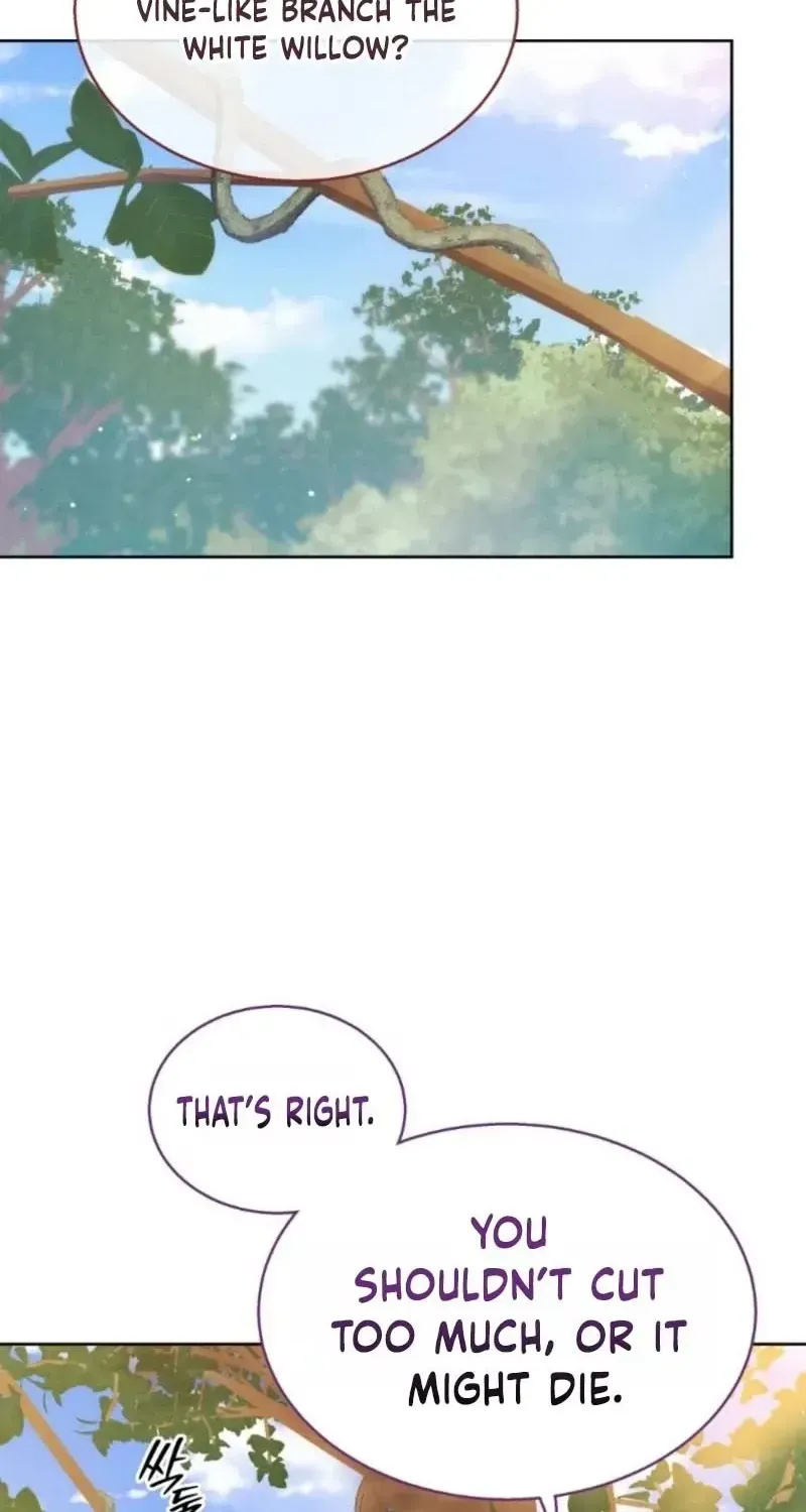 A Mouse Biting a Dragon’s Tail chapter 97.4 page 47