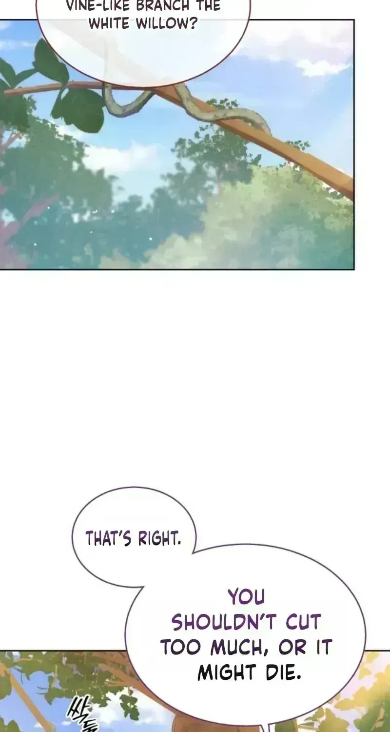 A Mouse Biting a Dragon’s Tail chapter 99.9 page 47