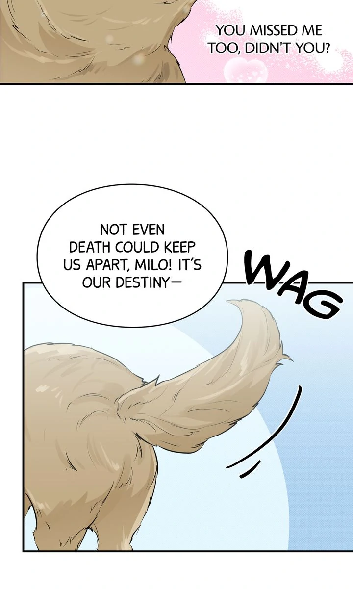 Reincarnation Laundry chapter 38 page 12