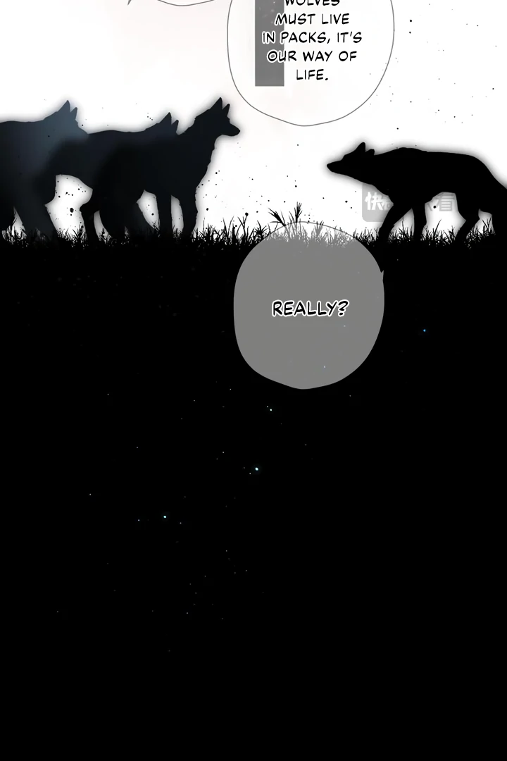 Back to Spring chapter 32 page 13