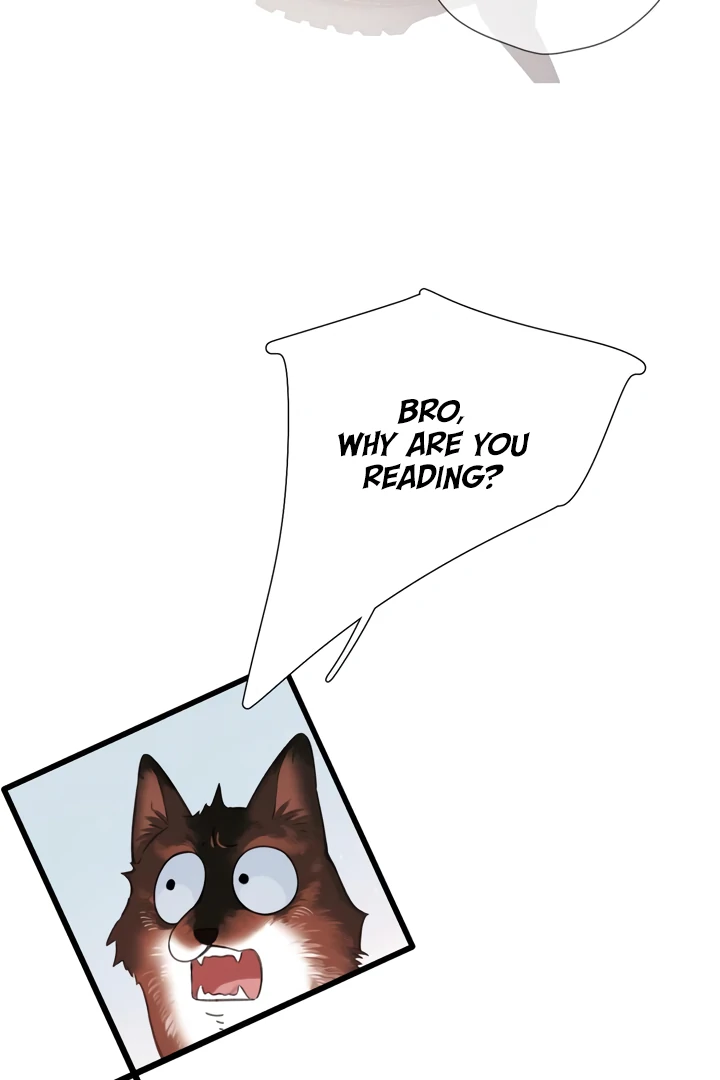 Back to Spring chapter 45 page 56