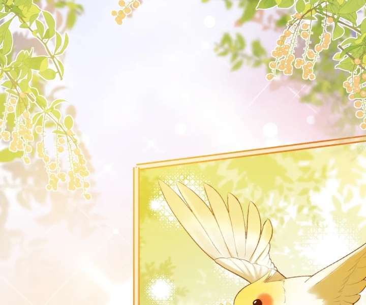 It’s Just a Superficial Intention chapter 52 page 72