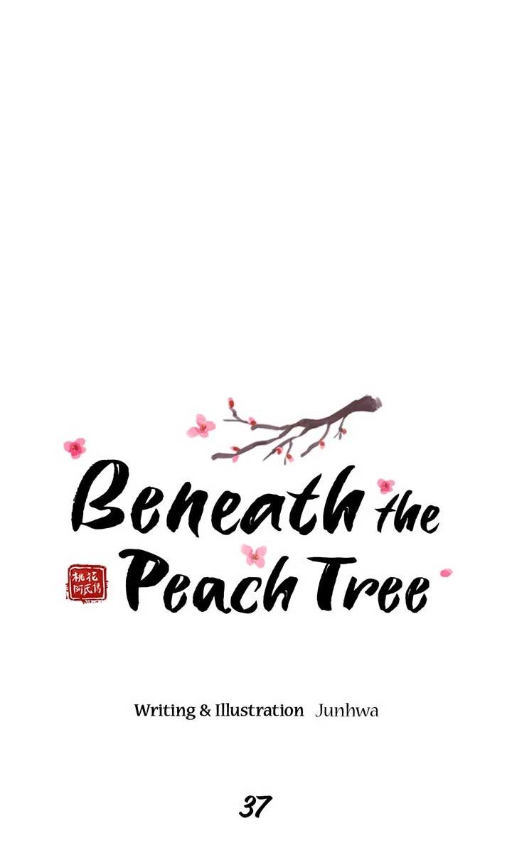 Beneath the Peach Tree chapter 37 page 5