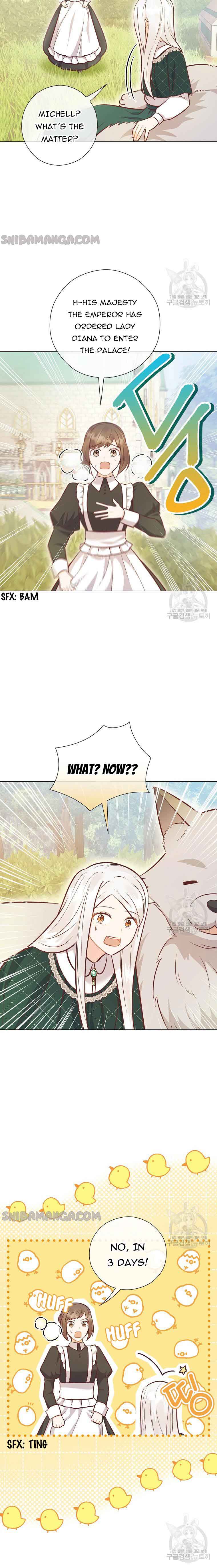 Who Do You Like More, Mommy or Daddy? chapter 41 page 4