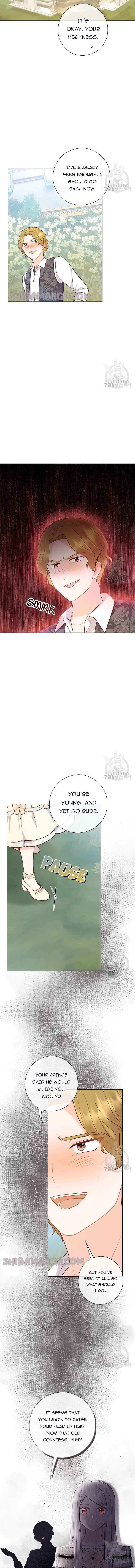 Who Do You Like More, Mommy or Daddy? chapter 45 page 3