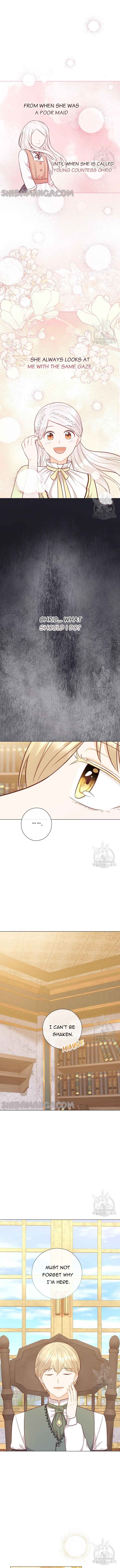 Who Do You Like More, Mommy or Daddy? chapter 49 page 12