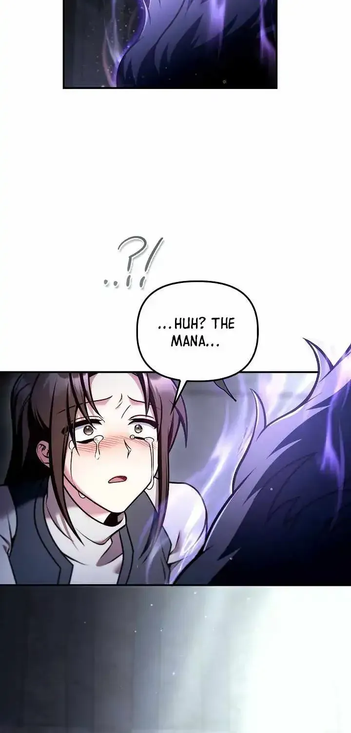 Regressor Instruction Manual chapter 193 page 104