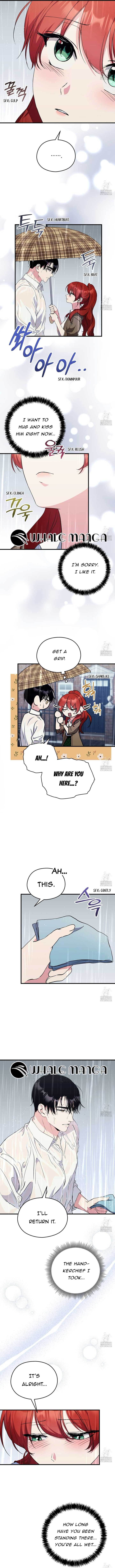 I Don’t Want to Attack You! chapter 24 page 4