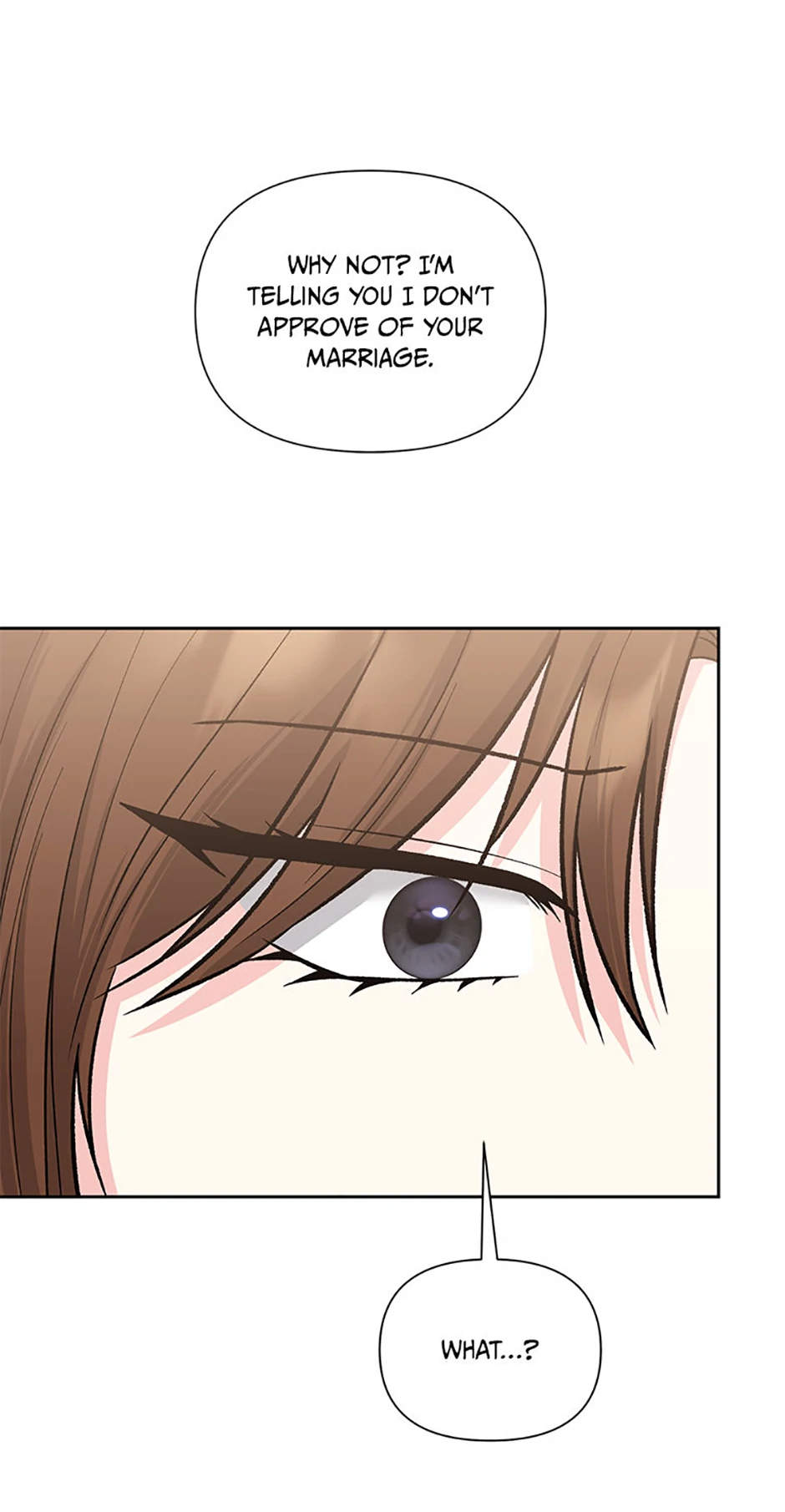 Second Time Newlyweds chapter 41 page 53