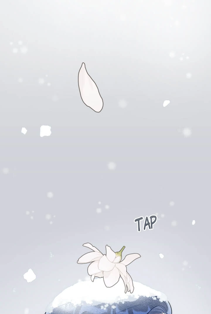 From Misery to Majesty chapter 57 page 57
