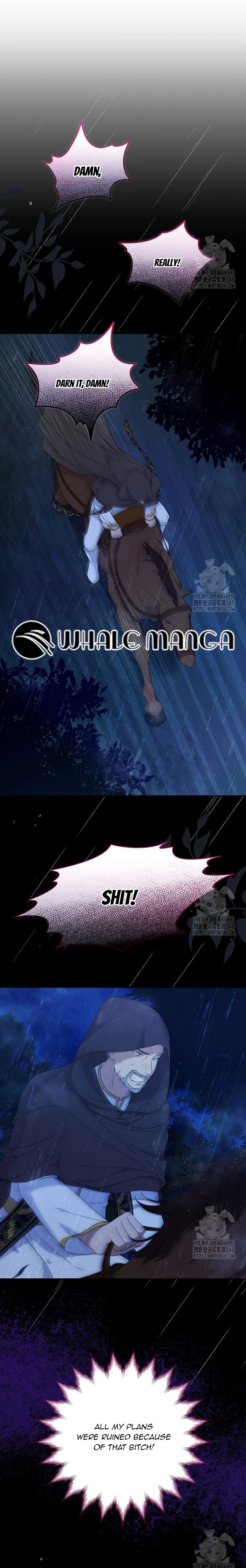 The Supporting Female Is Reborn, She Will No Longer Serve This Broken Plot chapter 6 page 7