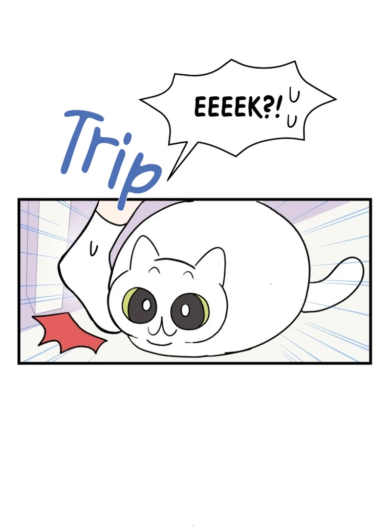 This Manhwa Ends When I Confess chapter 9 page 41