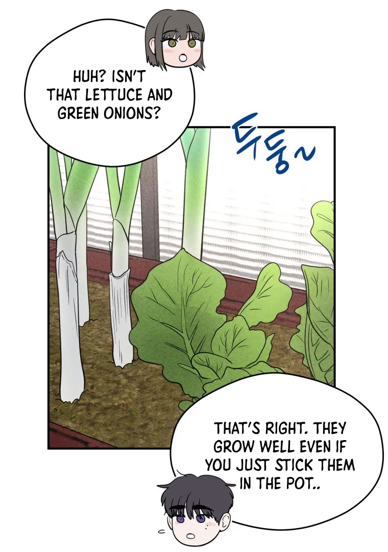 Ghost Romance chapter 42 page 13
