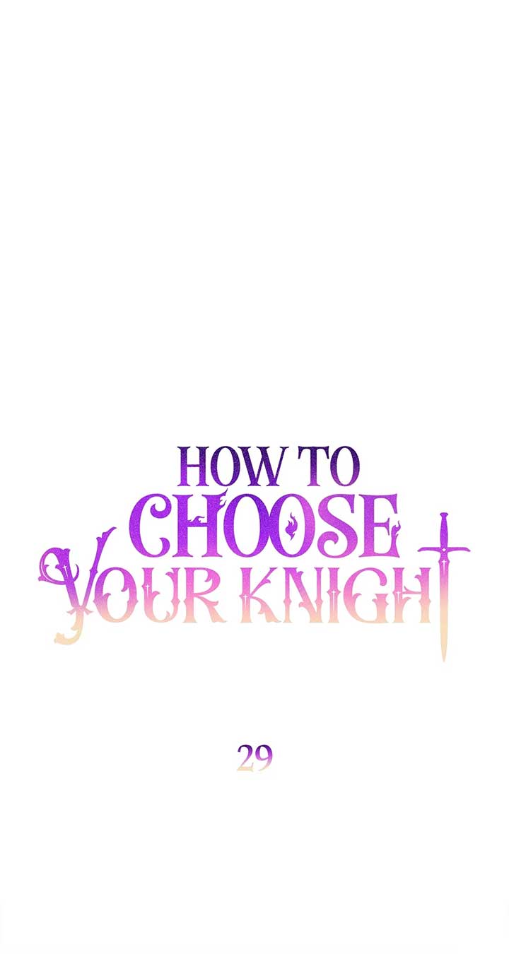 How to Choose Your Knight chapter 29 page 80