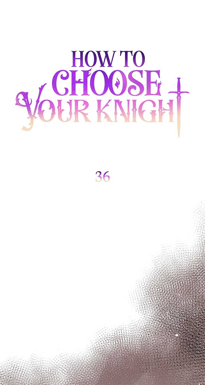 How to Choose Your Knight chapter 36 page 34
