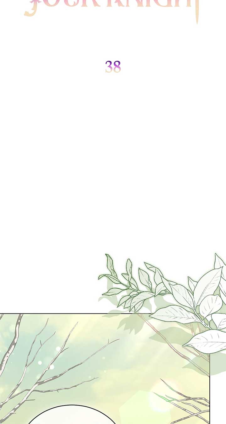 How to Choose Your Knight chapter 38 page 44