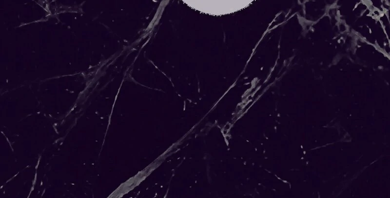The False Saintess Overturns Her Fate chapter 29 page 48