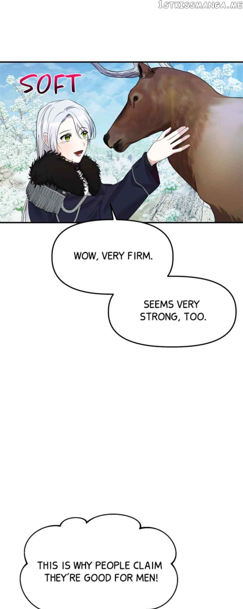 The Fake Duchess In Distresss chapter 13 page 11