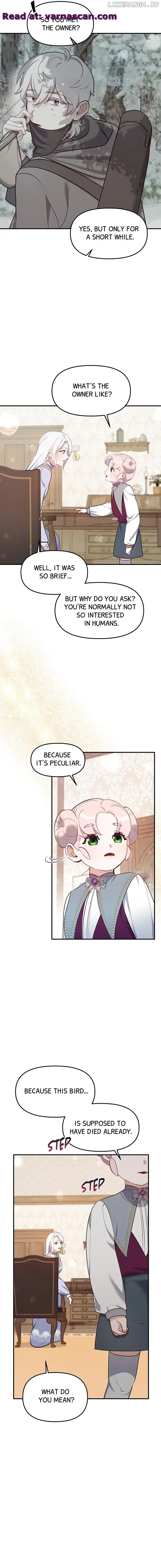 The Fake Duchess In Distresss chapter 49 page 8