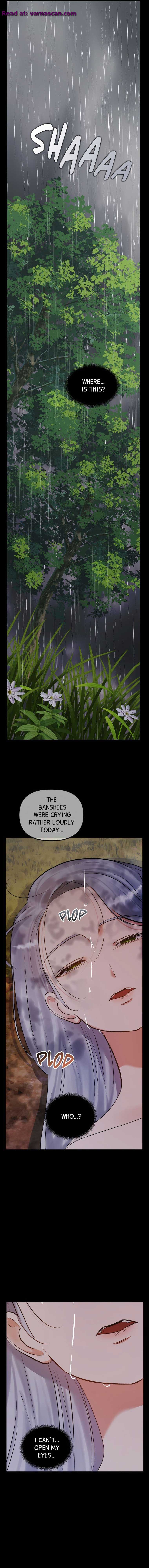 The Fake Duchess In Distresss chapter 72 page 9