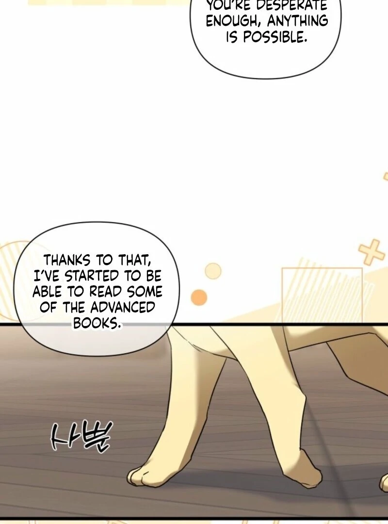 I’m Repaying The Kindness That Raised Me With Obsession chapter 47 page 59