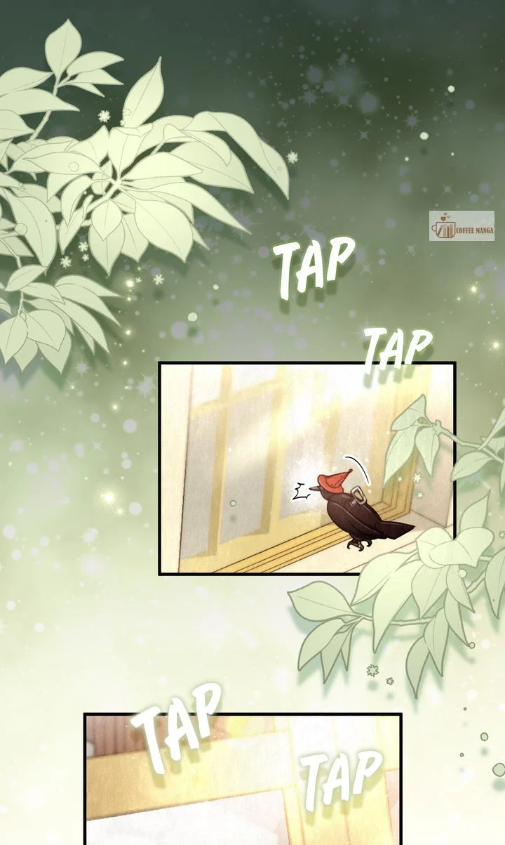 Dear, Not Cunning Witch chapter 3 page 1