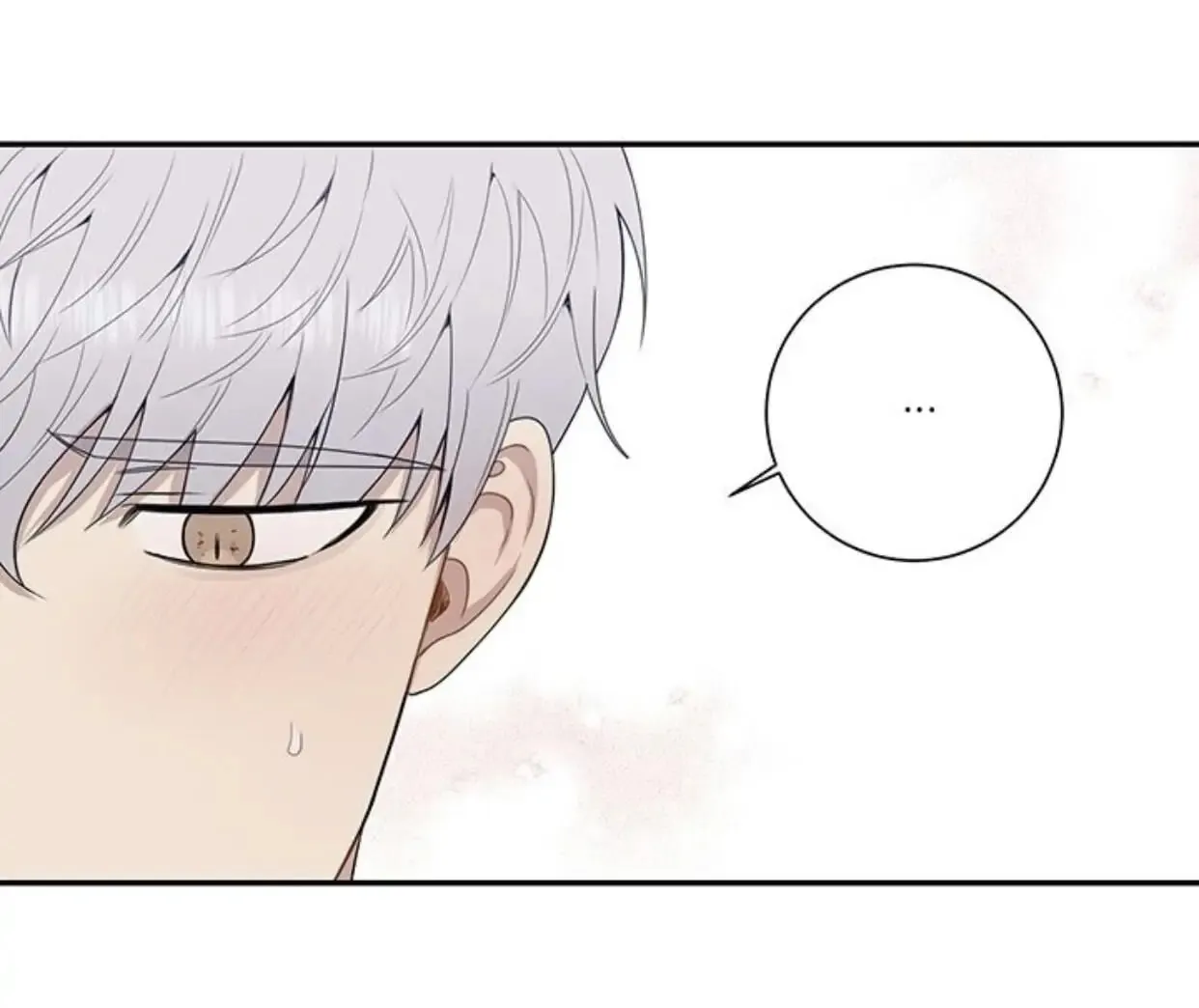Cherry Blossoms After Winter chapter 175.05 page 62