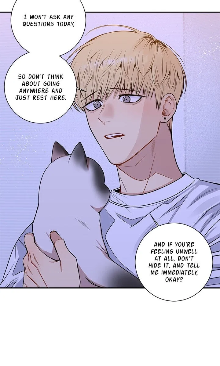 Cherry Blossoms After Winter chapter 176 page 47