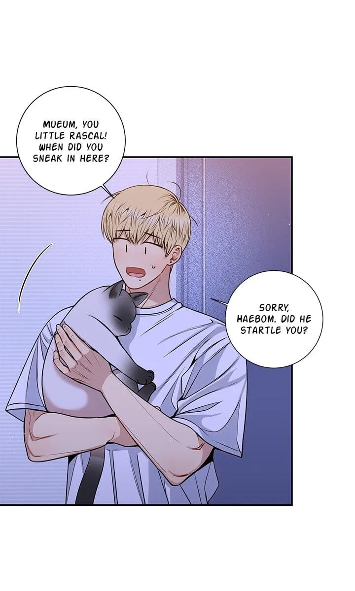Cherry Blossoms After Winter chapter 176 page 44