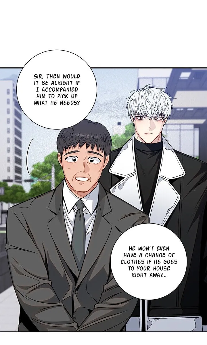 Cherry Blossoms After Winter chapter 176 page 19