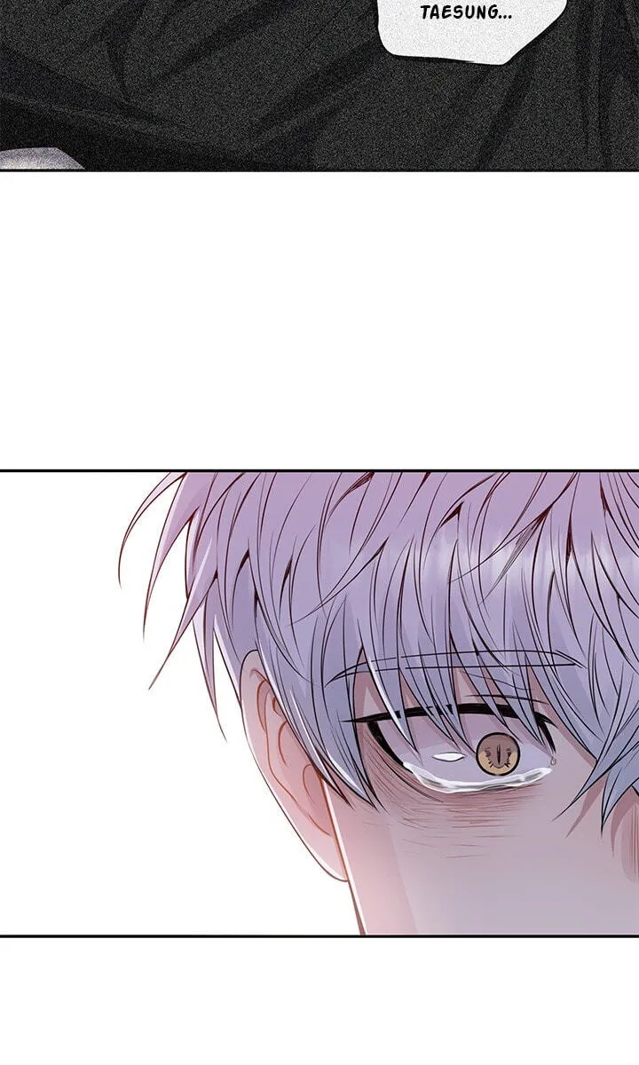 Cherry Blossoms After Winter chapter 176 page 77